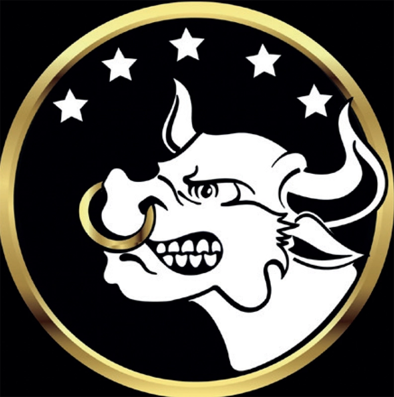 American Bulls — Belo Horizonte/MG